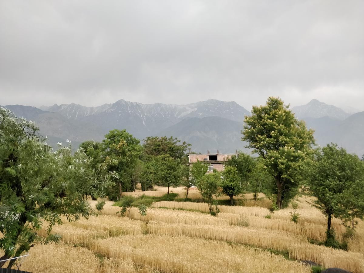 D'Polo Club & Spa Resort Dharamshala Eksteriør bilde